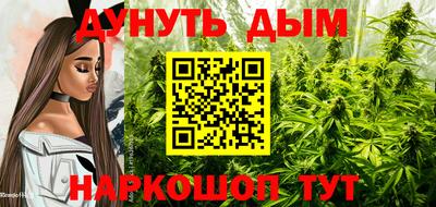 прущие крисы Магадан