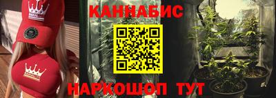 прущие крисы Магадан