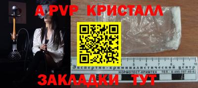 прущие крисы Магадан